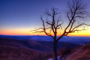 Shenandoah, National Park, sunrise, landscape, tree, virginia, hdr, angela b. pan, abpan