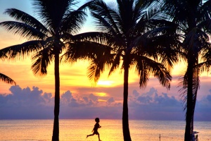 running boy, landscape, sunrise, palm trees, ft. lauderdale, florida, hdr, angela b. pan, abpan