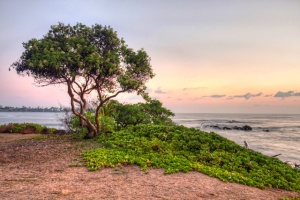 lydgate beach, park, kauai, hawaii, sunrise, tree, angela b. pan, abpan, photo, photography, landscape, hdr, travel