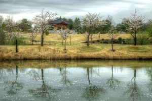 meadowlark botanical garden, korean temple, virginia