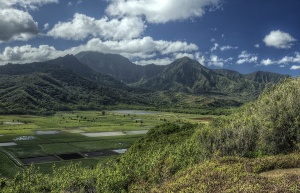 kauai, hawaii, hanalei valley