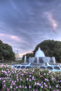 lower senate park, capitol, architecture, fountain, flowers, sunset, washington dc, travel, united states, usa